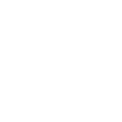 Champs Sports